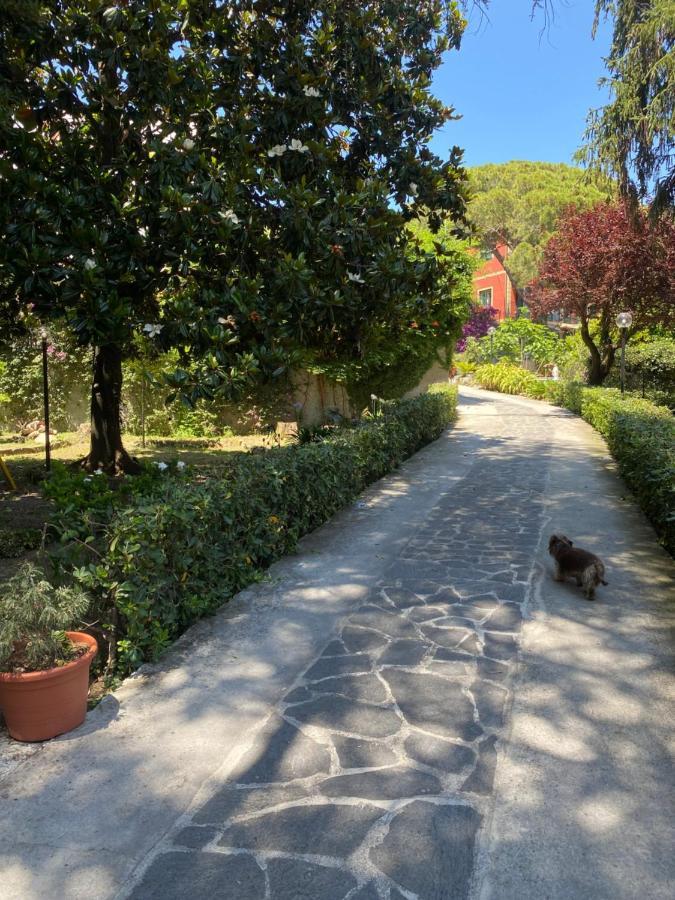 Bed and Breakfast Le Magnolie à Santa Margherita Ligure Extérieur photo